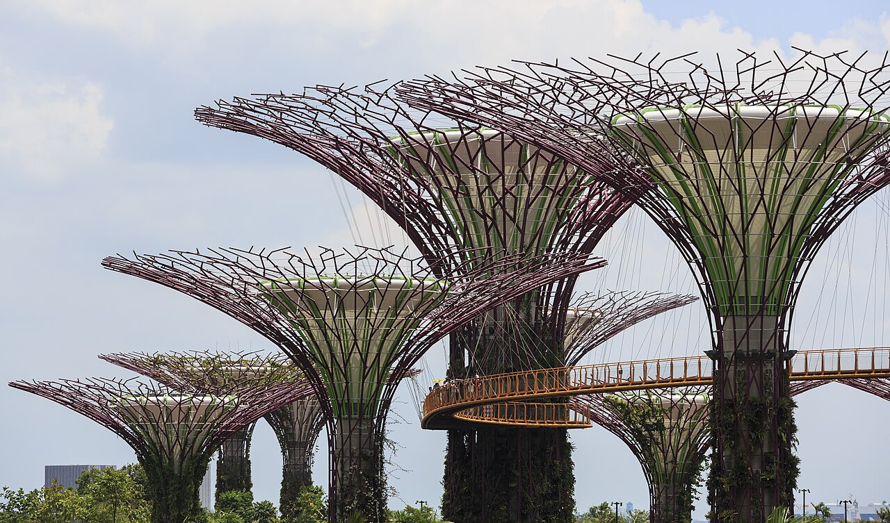 The Supertree Grove at Gardens by the Bay, Singapore